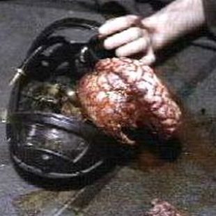 LEXX: Biography: Divine Predecessors