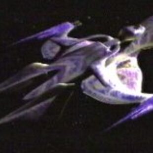 Babylon 5: Ships: The Interstellar Alliance