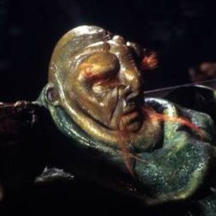 Hitch Hikers Guide to the Galaxy: Cultures: Vogons
